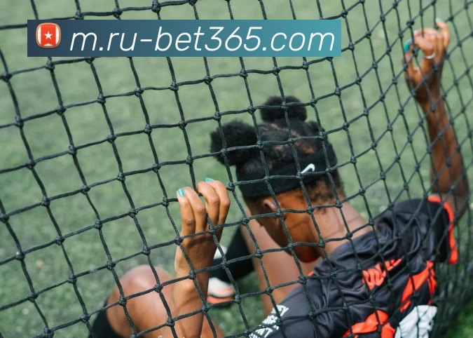 bet365平台生态图